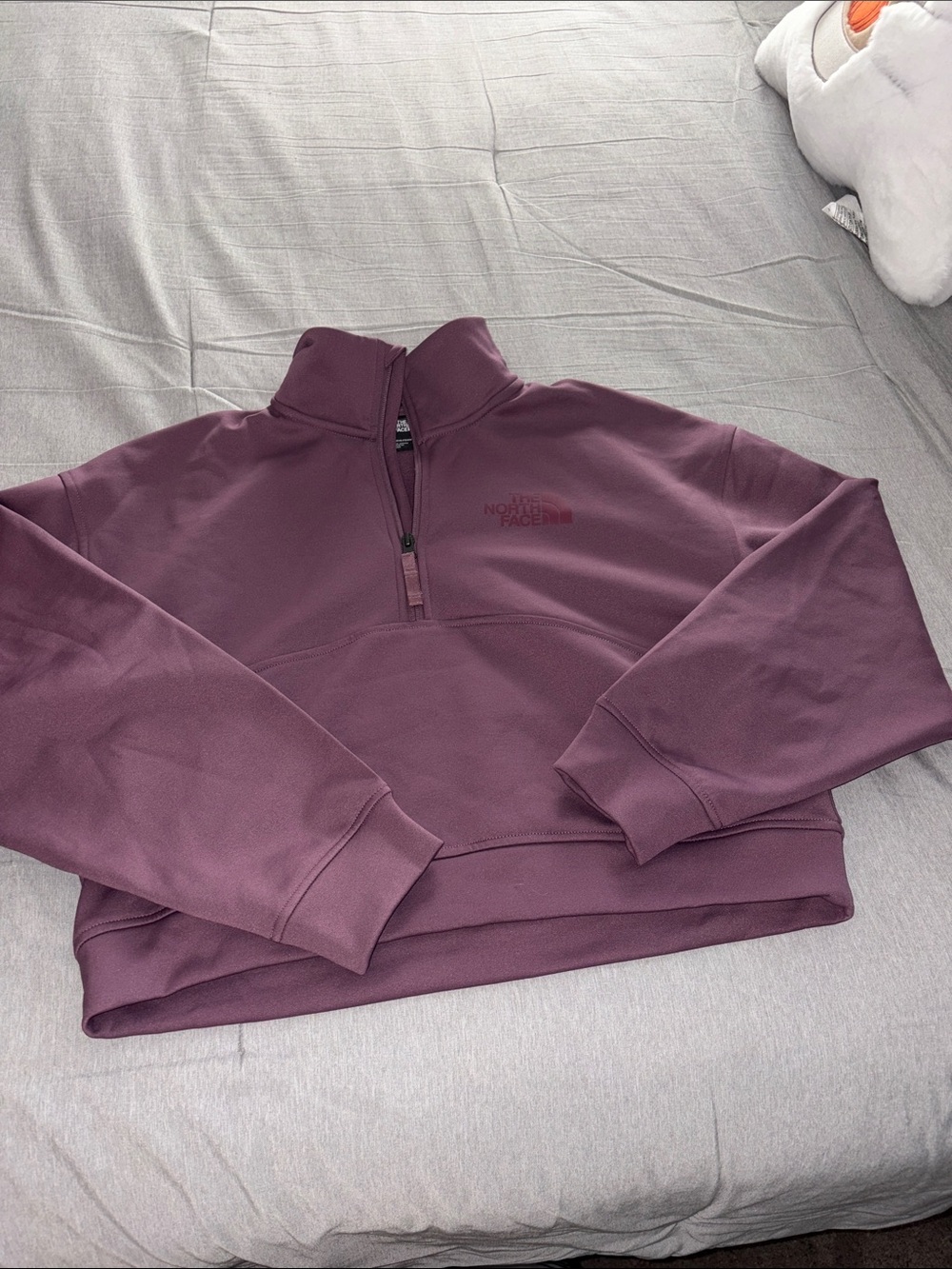 The North Face Women's Half-Zip Pullover Sweater in Plum